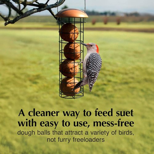 C&S Peanut Delight Dough Balls for Wild Birds - No Melt Formula, Pack of 4 | Ideal for Woodpeckers & Blue Jays