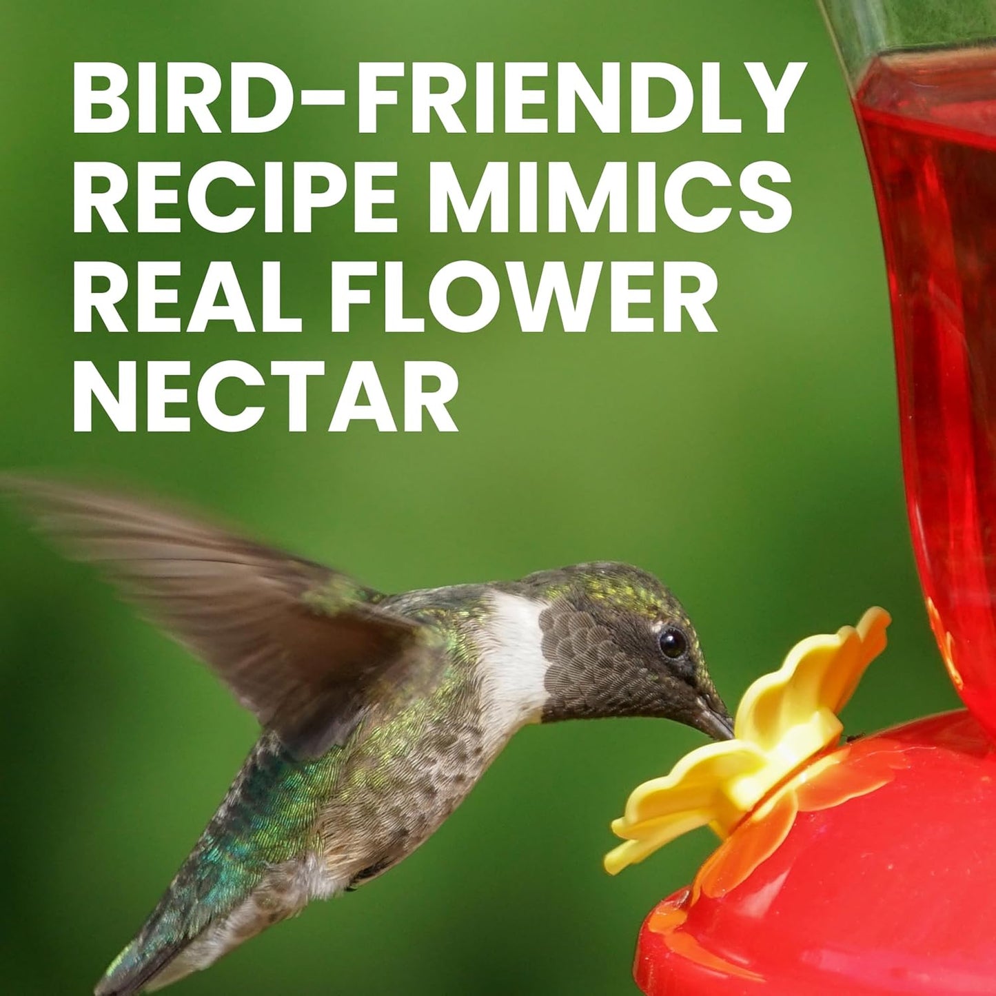 Perky-Pet Hummingbird Nectar Powder Concentrate - 2 lb Bag | Makes 192 oz of Liquid Food - 100% Sucrose