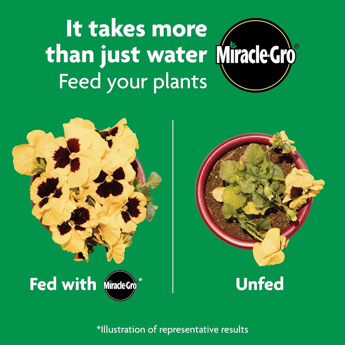 Miracle-Gro Shake 'N Feed All Purpose Plant Food - 4.5 lbs for Indoor & Outdoor Plants | Feeds for 3 Months (6-Pack)