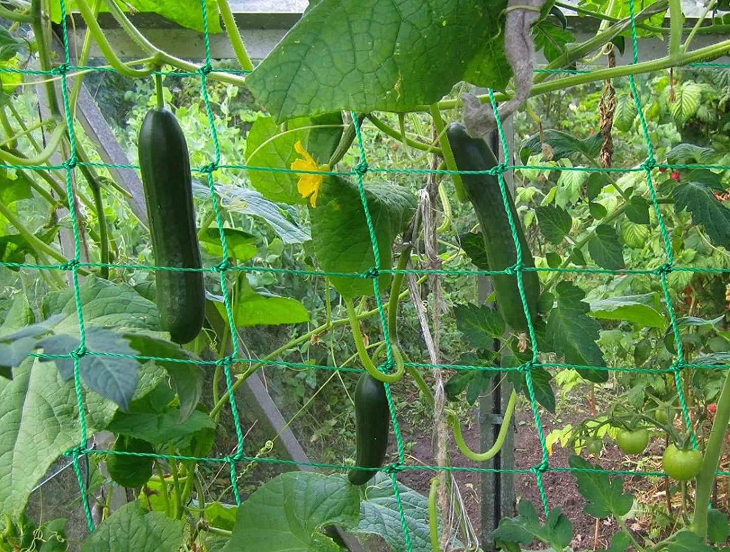 Trellis Netting - Heavy Duty Garden Trellis for Climbing Plants, Cucumber & Tomato - 8.2' x 6.6' Ft