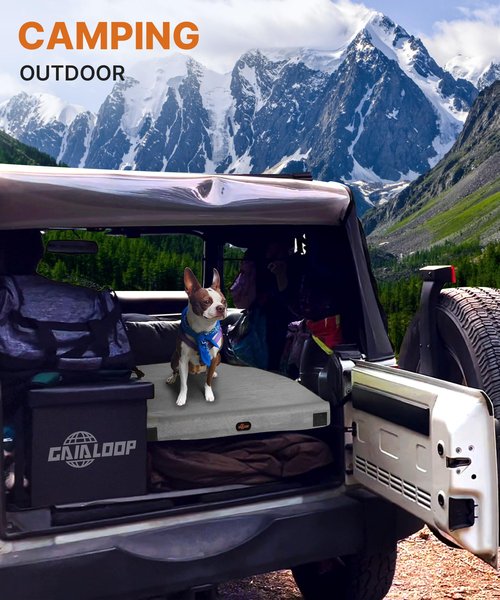 GAIALOOP 4 INCH Extra Thick Memory Foam Camping Mattress, 30D Foam Camp Pad for Car Tent Cot, Roll Up Mattress for Guests Sleepovers RV Truck Camper[Cot:72 * 24 * 4"]