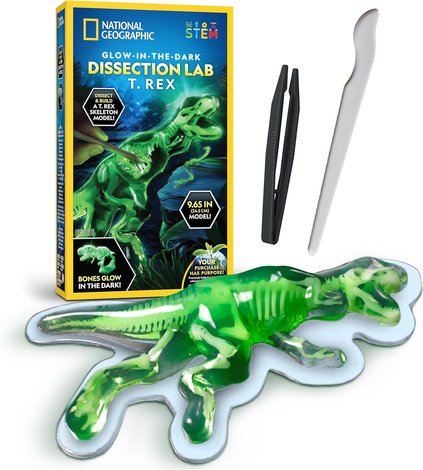 National Geographic Glow-in-The-Dark T. Rex Dissection Lab - Build a 9.5” Glowing Dinosaur Skeleton Model | Includes Refill Pack & Learning Guide