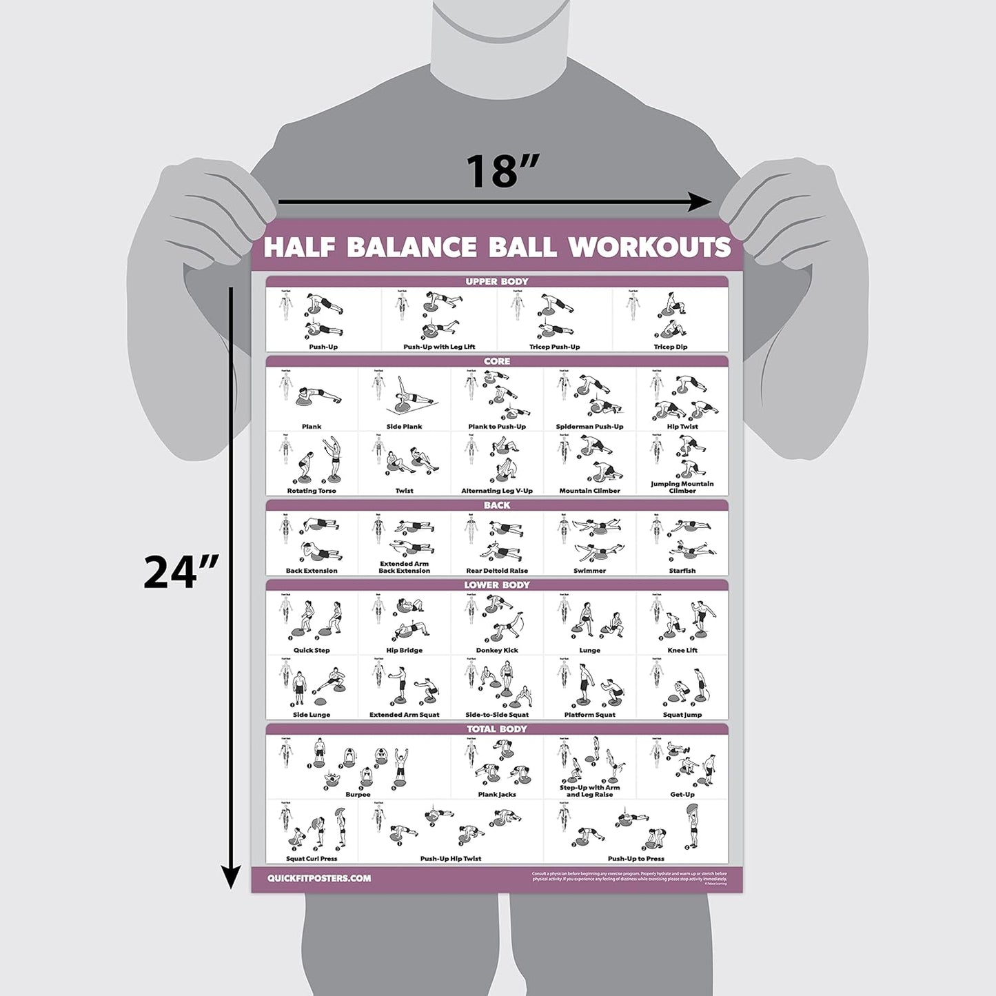 Palace Learning Half Balance Ball Workout Poster - Laminated Exercise Chart (18" x 24")
