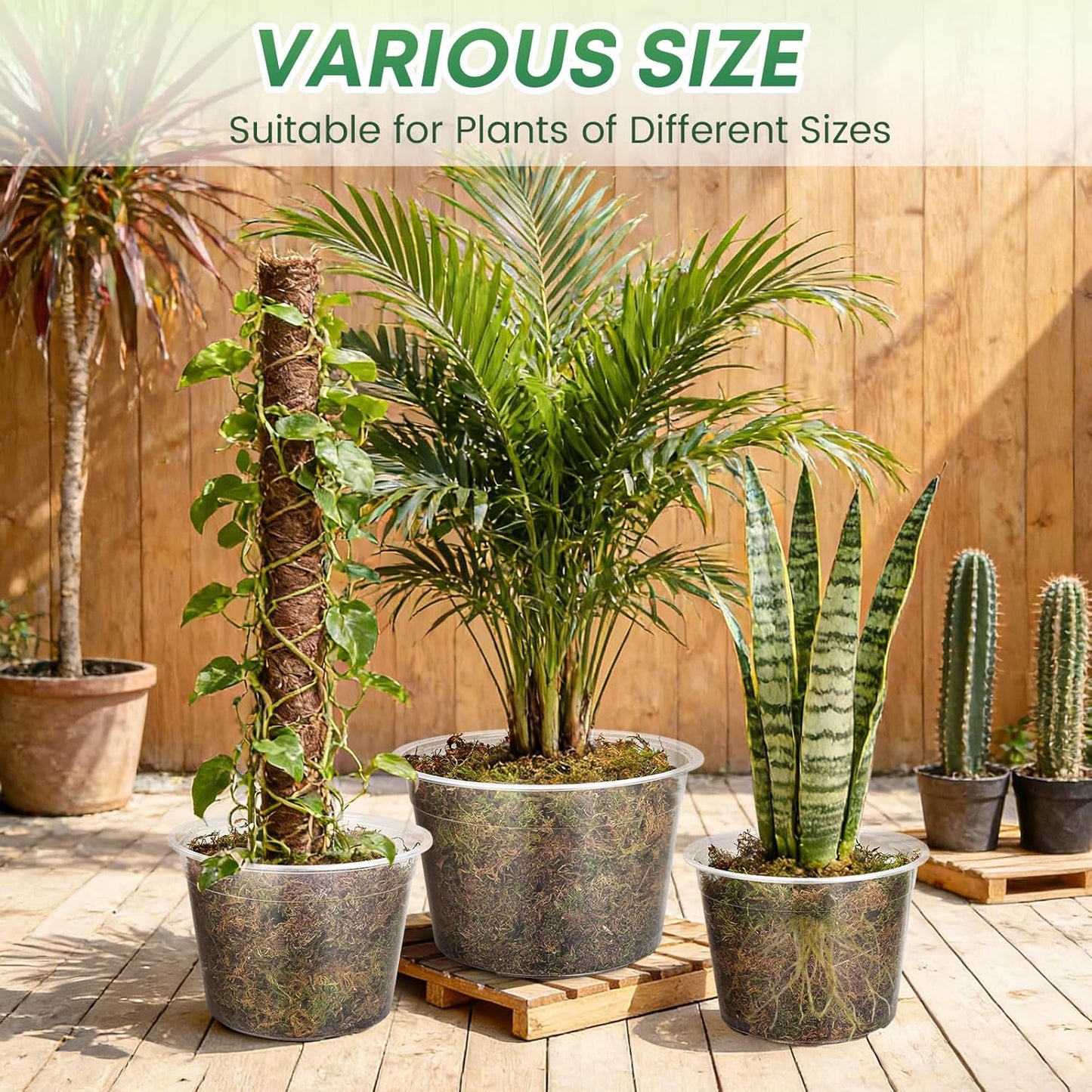 Skiennix Large Clear Nursery Pots - 15 Pack with Drainage Holes for Indoor/Outdoor Gardening | 8, 10, 12 Inch