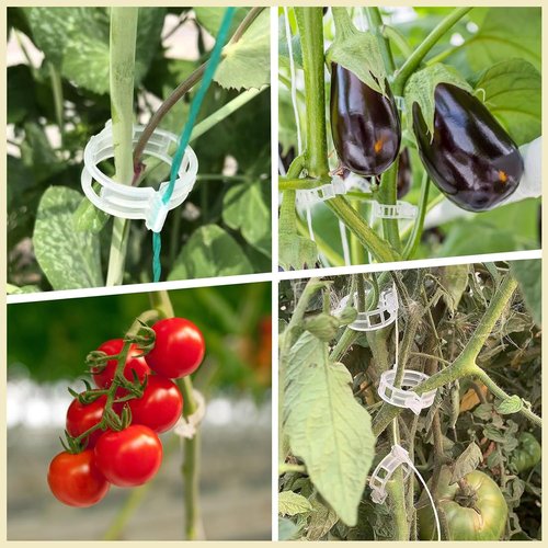 Dalzom® Tomato Clips - 300 Pcs Plastic Trellis Support for Healthy Grape & Vegetable Plants