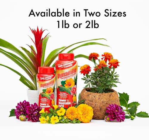Dynamite Complete Plant Food - Premium Flower & Vegetable Nutrients | 1 lb Bag