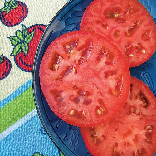 Bonnie Plants Red Beefsteak Tomato - Fresh & Juicy 19.3 oz | 4-Pack for Home Gardening