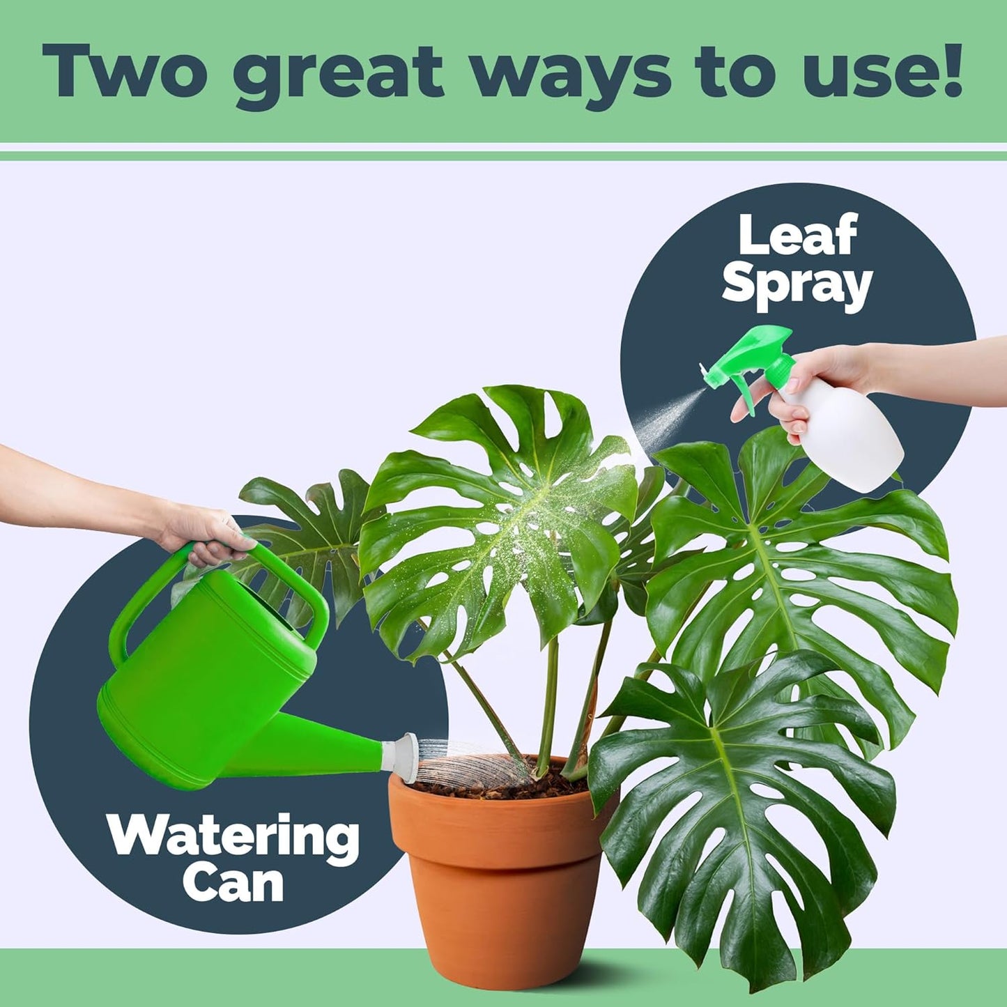 Monstera Plant Food - Liquid Fertilizer for Lush Growth & Strong Roots | 8 oz for Bigger Split Leaves