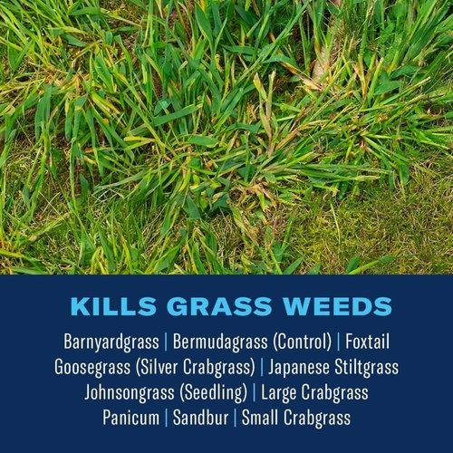 BioAdvanced Extreme Crabgrass Killer - Ready-to-Spray Formula for 5,000 Sq Ft Coverage, 32 oz