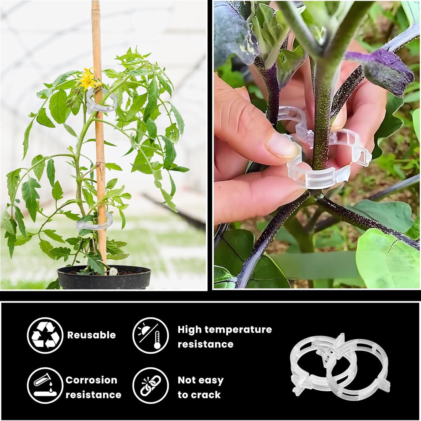 Skiennix 200 Pcs Plant Clips - Durable Support for Climbing Plants, Tomatoes & Vines | Garden Essential