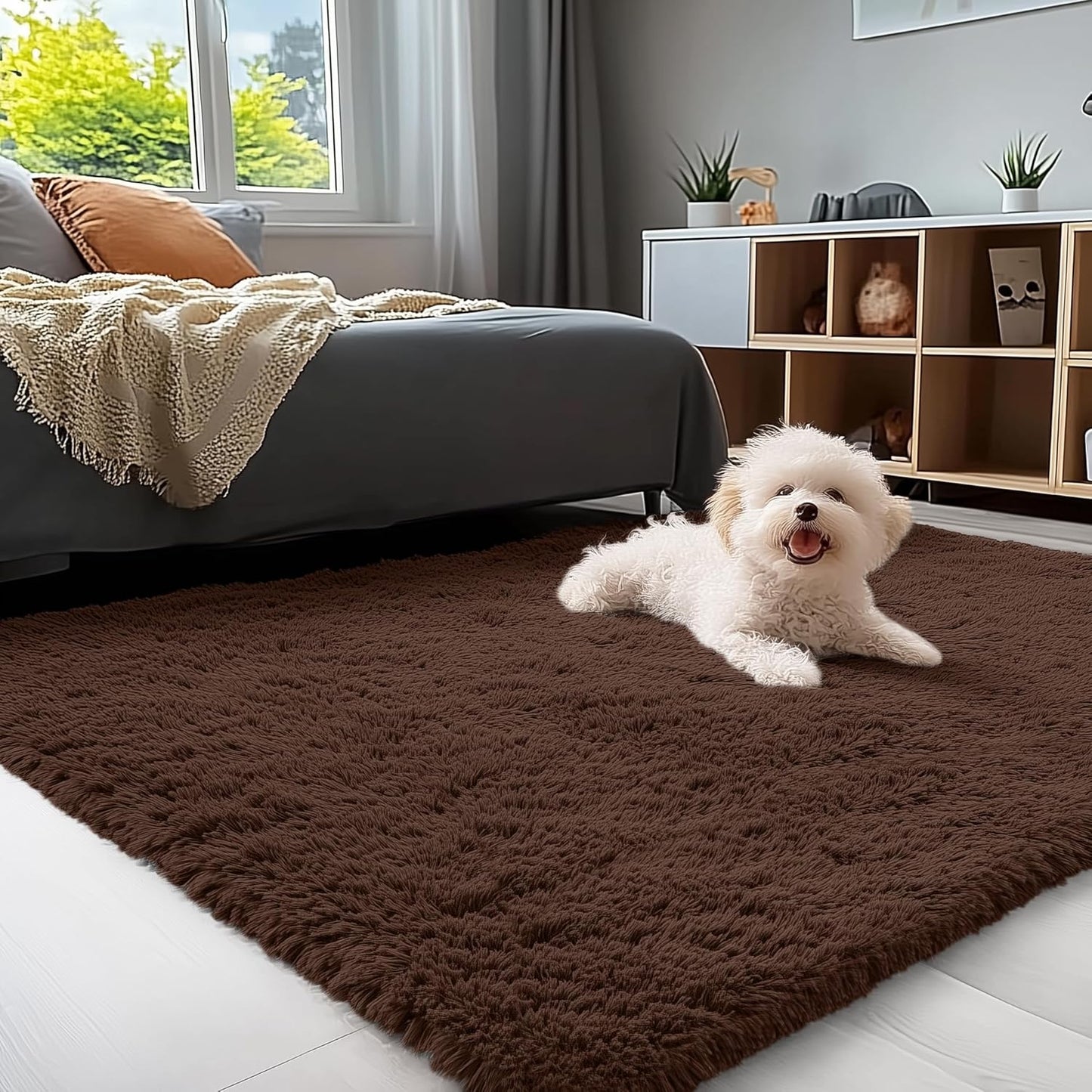 OLANLY Accent Rug - Soft Fluffy Shaggy Area Rug for Bedroom & Living Room | Machine Washable, 3x4 ft