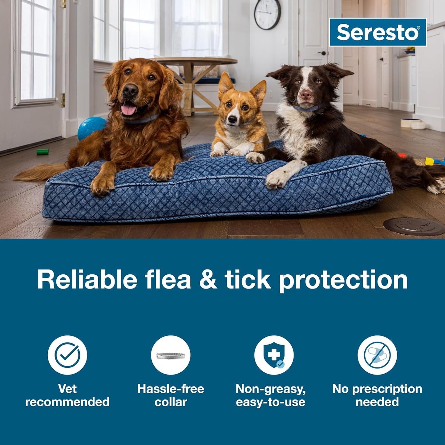 Seresto Flea & Tick Collar for Dogs Over 18 lbs - Vet-Recommended 8-Month Treatment & Prevention