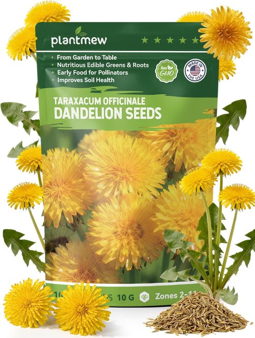 Dandelion Seeds - 4,000+ Heirloom Edible Seeds for Medicinal Gardens | Non-GMO & Pollinator-Friendly