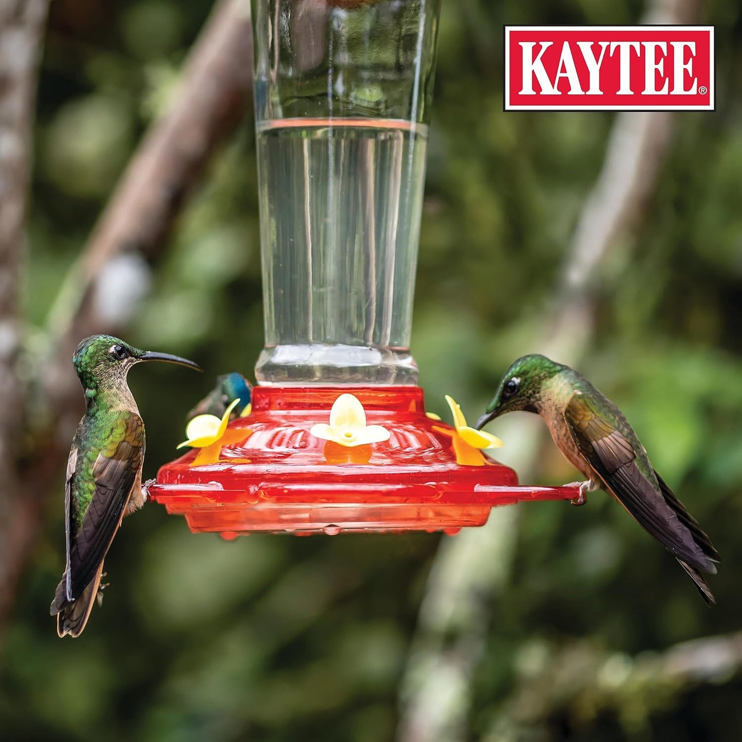 Kaytee Hummingbird ElectroNectar - Wild Bird Food Concentrate, 16 oz (Makes 128 oz) - 2 Pack