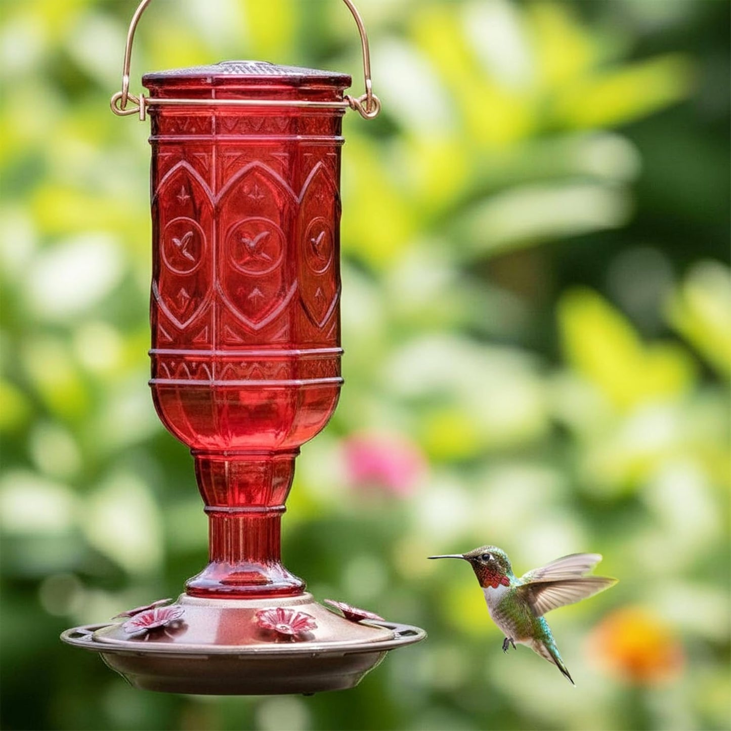 More Birds Red Jewel Hummingbird Feeder - Glass Bottle with 5 Feeding Ports & 20-Ounce Capacity