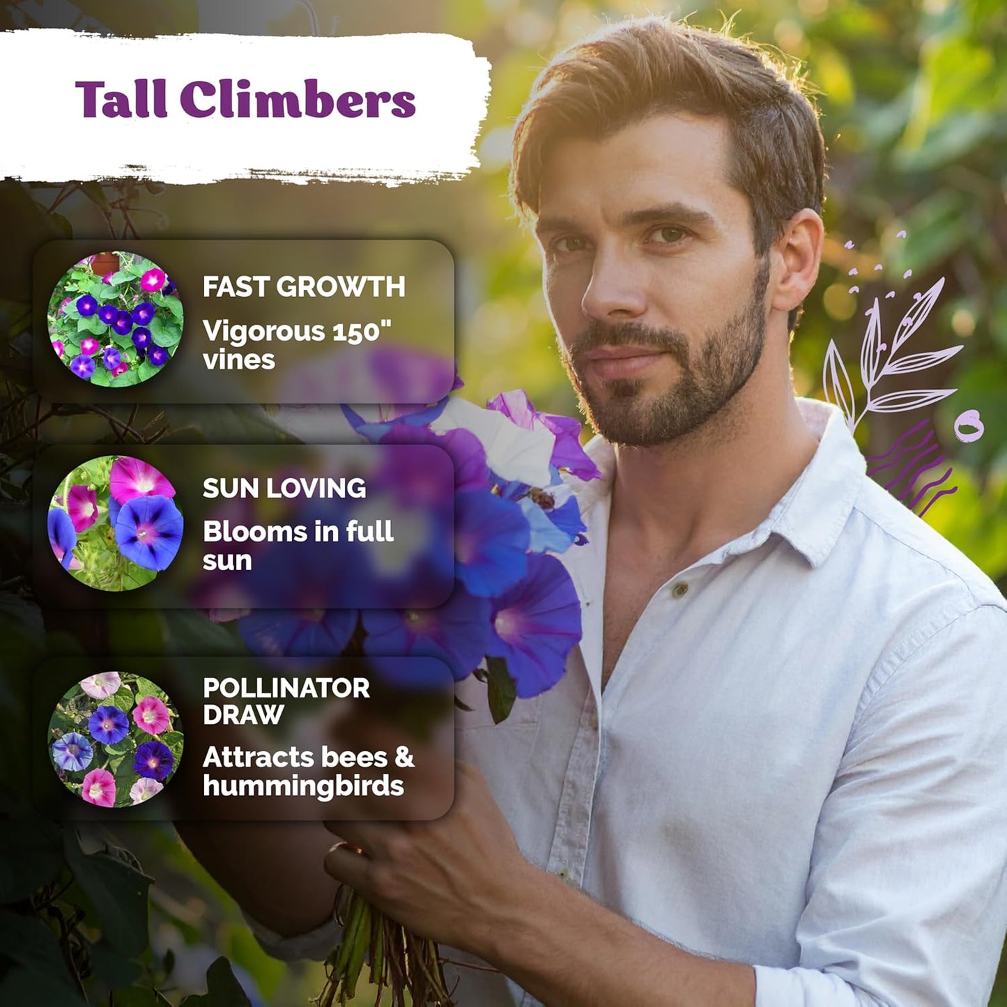 KVITER Morning Glory Seeds Mix - 50 Tall Climbing Flower Seeds for Home Garden & Outdoor Containers