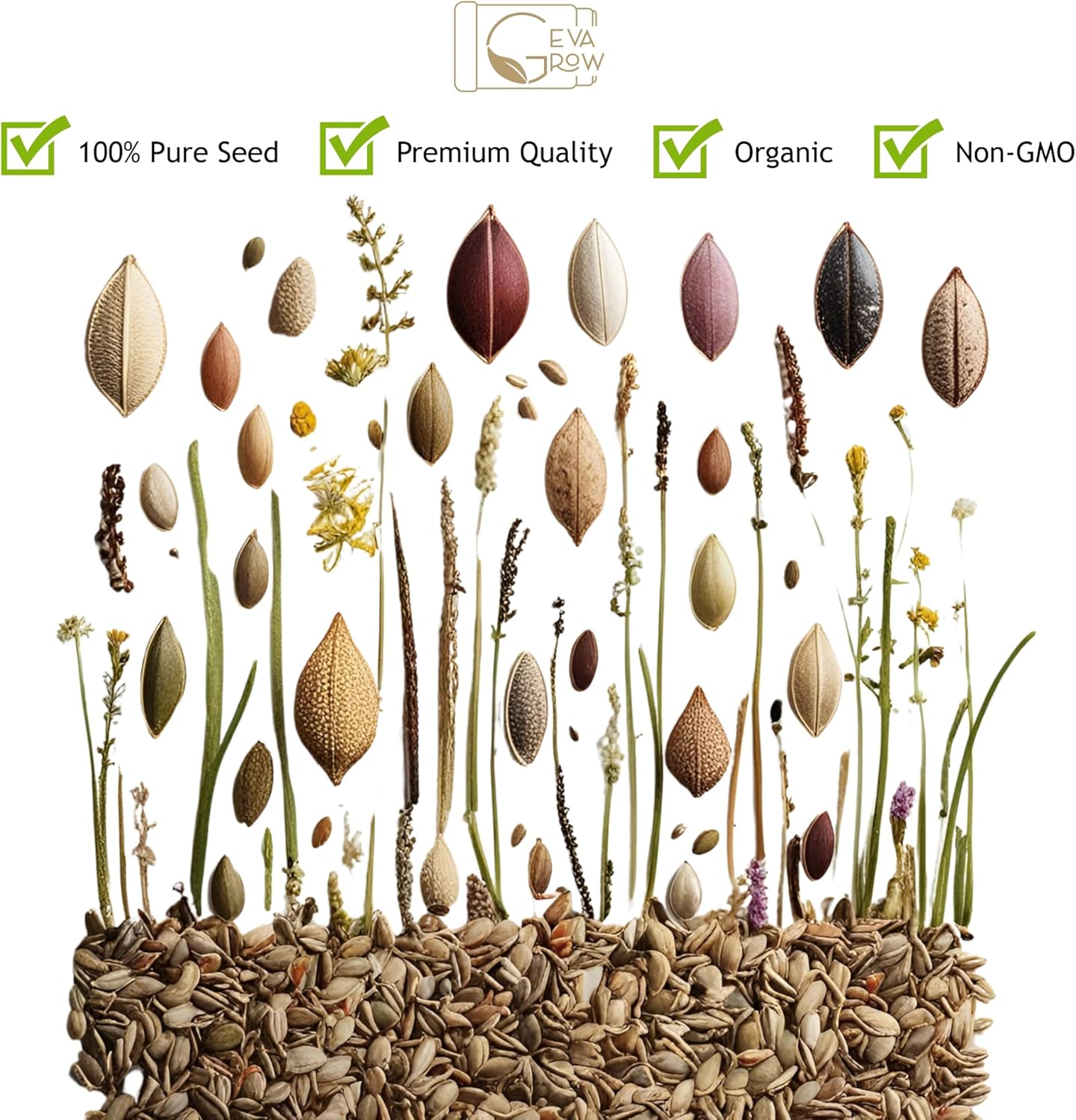 Wildflower Seeds Bulk - 40,000+ Non-GMO Butterfly & Hummingbird Mix | 1 Oz. Pollinator Flower Seeds