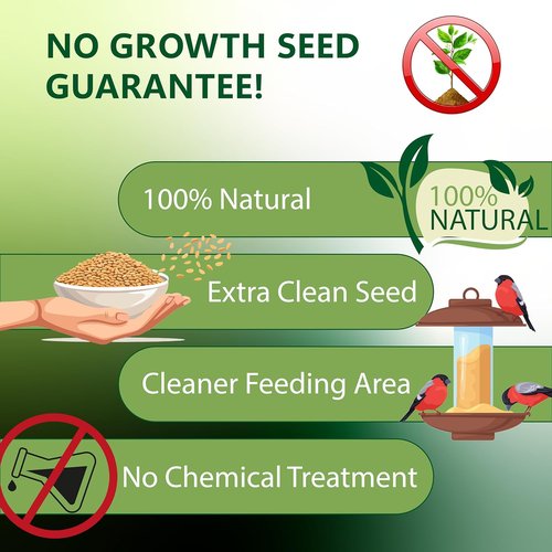 Happy Wings Nyjer/Thistle Seeds - Premium Wild Bird Food, No Grow Formula, 5 Pounds