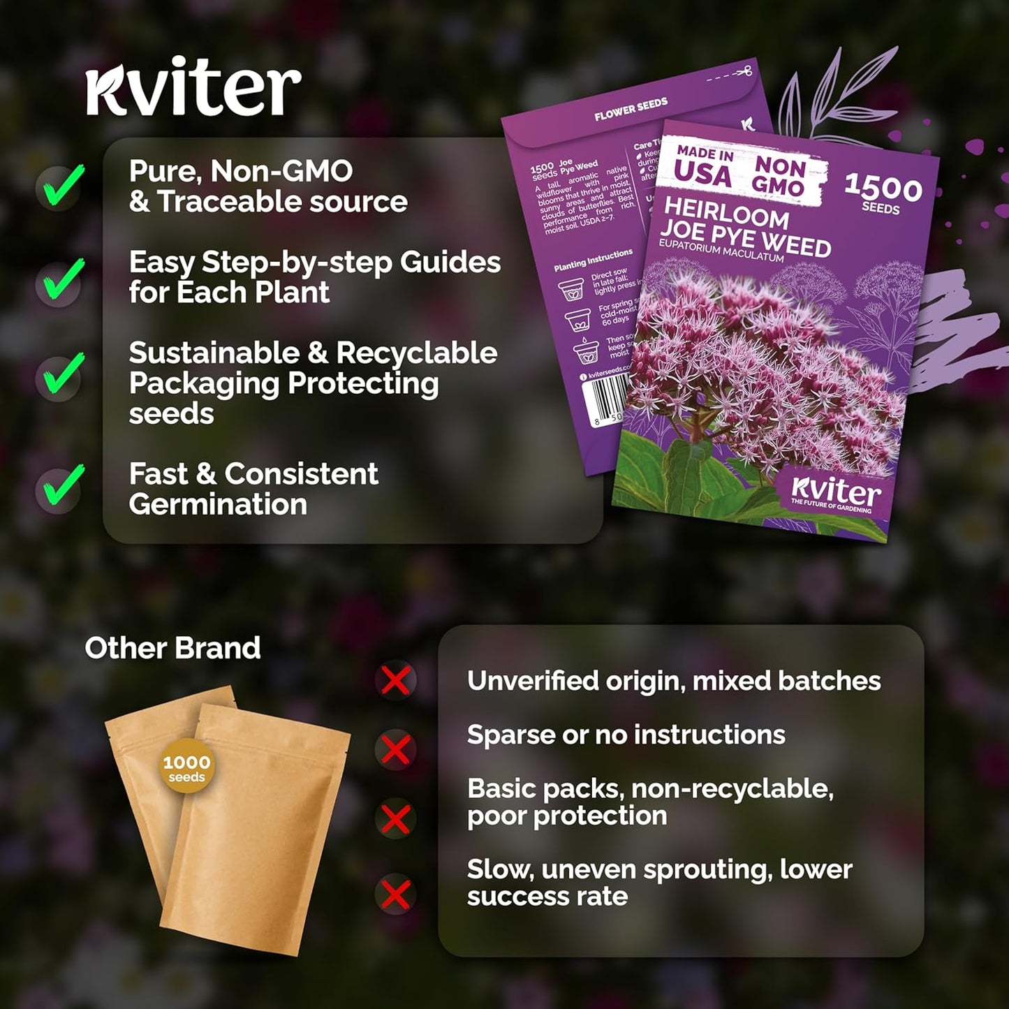 KVITER 1500 Joe Pye Weed Seeds - Aromatic Pink Wildflower, Butterfly Magnet | Perennial Flower Packets