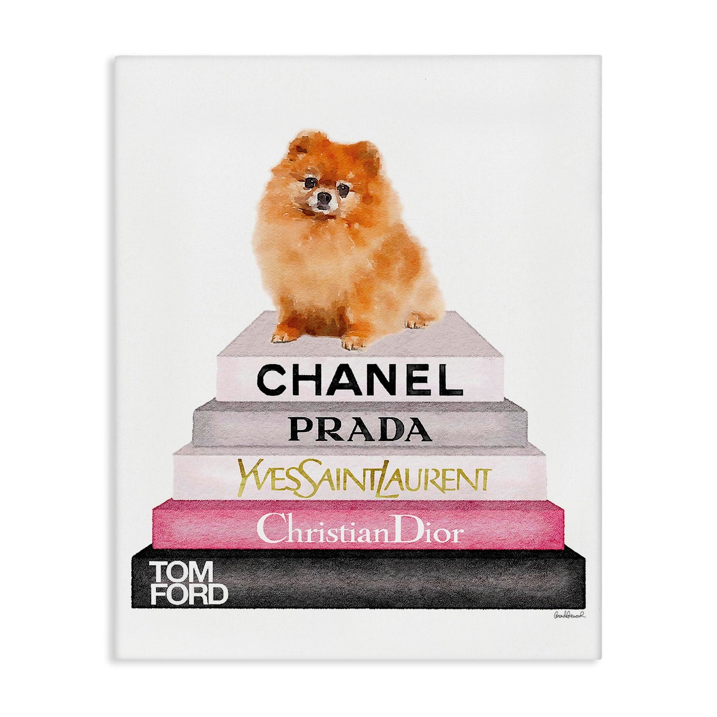 High Fashion Pomeranian, 30 x 40 Inch Canvas Wall Art