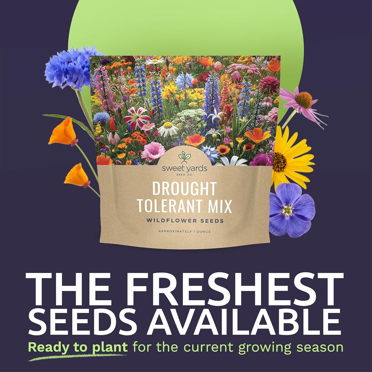 Wildflower Seed Mix by Drought Tolerant - Extra Large Packet with 7,500 Non-GMO Seeds - 21 Dryland Species