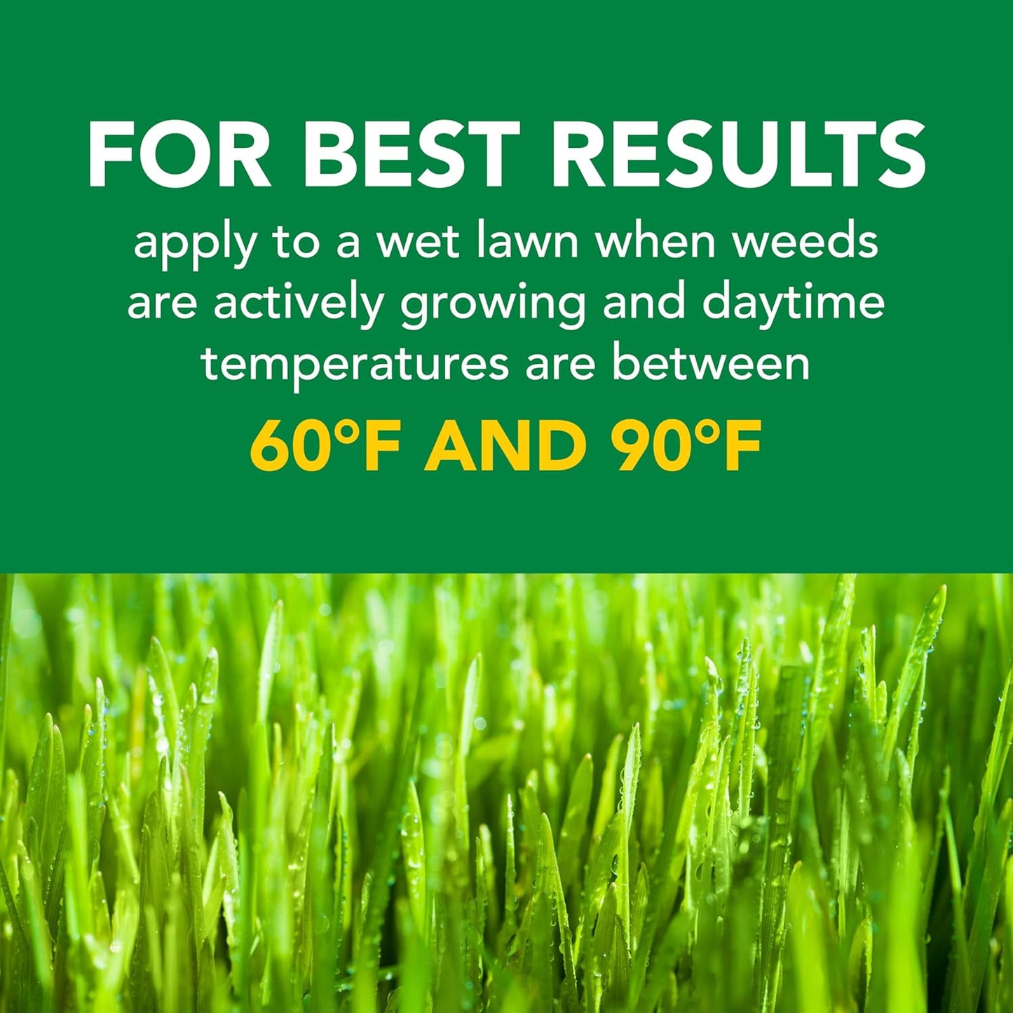 Scotts Turf Builder Weed and Feed 5 - Powerful Weed Killer & Lawn Fertilizer for 12,000 sq. ft. | 33.95 lb.