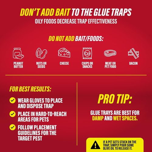 Catchmaster Rat, Snake & Mouse Traps - 10 Pack Large Bulk Adhesive Traps for Home Pest Control