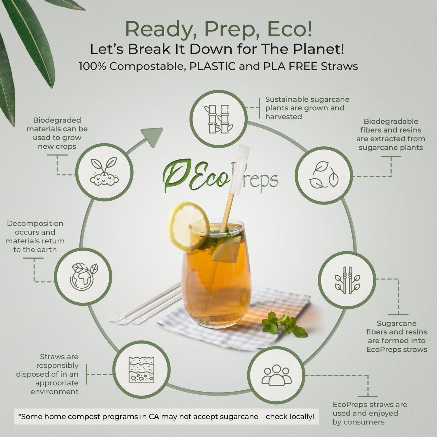 EcoPreps Biodegradable Sugarcane Straws, Plastic-Free Individually Wrapped Straws | 300 Count, 100% Compostable, Eco-Friendly Drinking Straw | 7.8” Sugar Fiber Disposable Straw, Packed in Paper Wrap