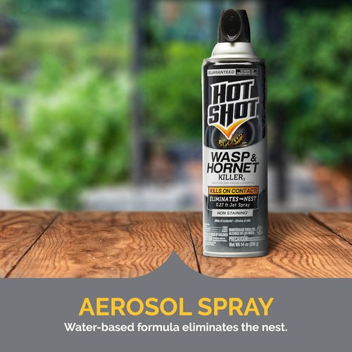 Hot Shot Wasp & Hornet Killer - Powerful 27-Foot Jet Spray - 14 Ounce Aerosol, 2 Pack