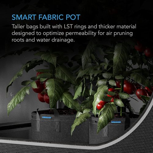 AC Infinity Heavy Duty Fabric Pots - 1 Gallon Aeration Grow Bags 5-Pack | Durable Nonwoven Fabric for Plant Training