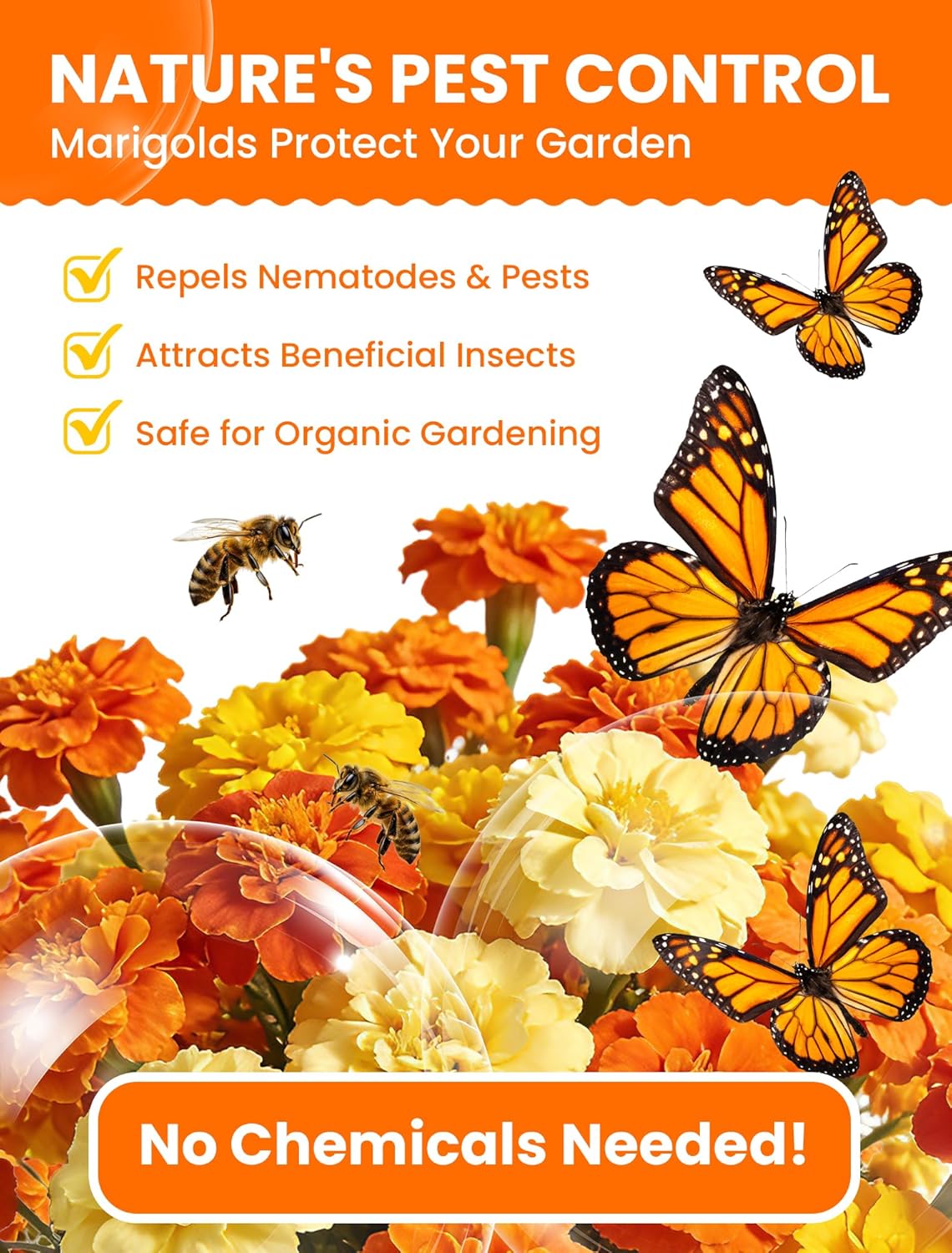 Tri-Color Marigold Seeds - 60,000+ Non-GMO Heirloom Flower Seeds for Quick Blooming Outdoors