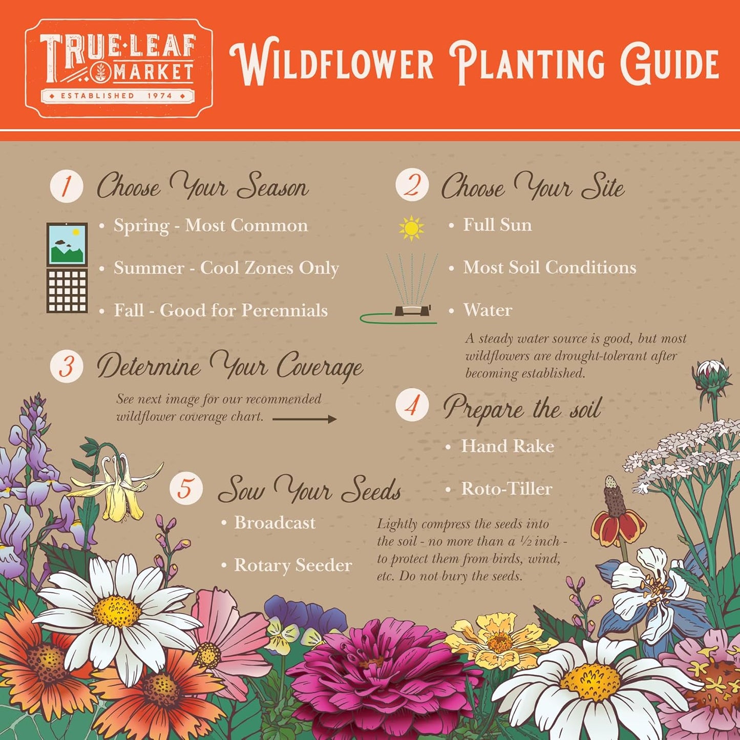 Wildflower Seeds | Save The Bees Mix - 80,000+ Non-GMO Seeds in 2 Oz. for Pollinator-Friendly Planting