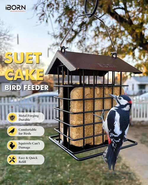 iBorn Suet Bird Feeder - Weatherproof Metal Roof & Squirrel Proof Hanger - 1 Pack, Coffee Color