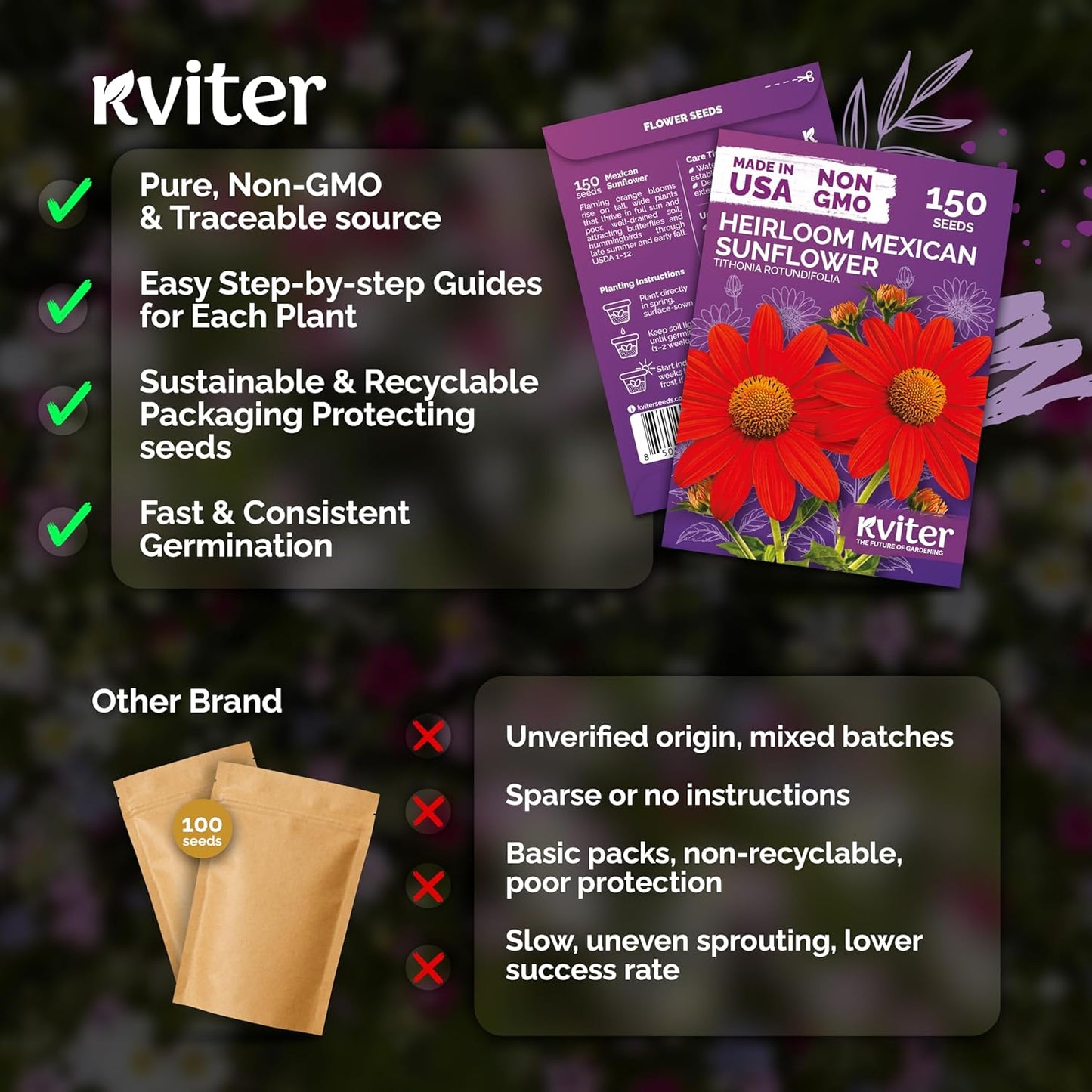 KVITER 150 Mexican Sunflower Seeds - Heirloom Tithonia Rotundifolia for Vibrant Outdoor Gardens | Bulk Seed Packets