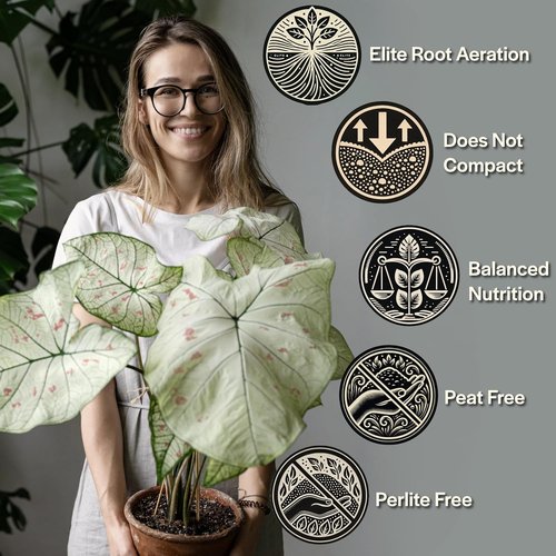 Craft Aroid Potting Mix - Elite Organic Soil for Alocasia, Philodendron & Monstera | Well-Draining, Peat-Free 4QT