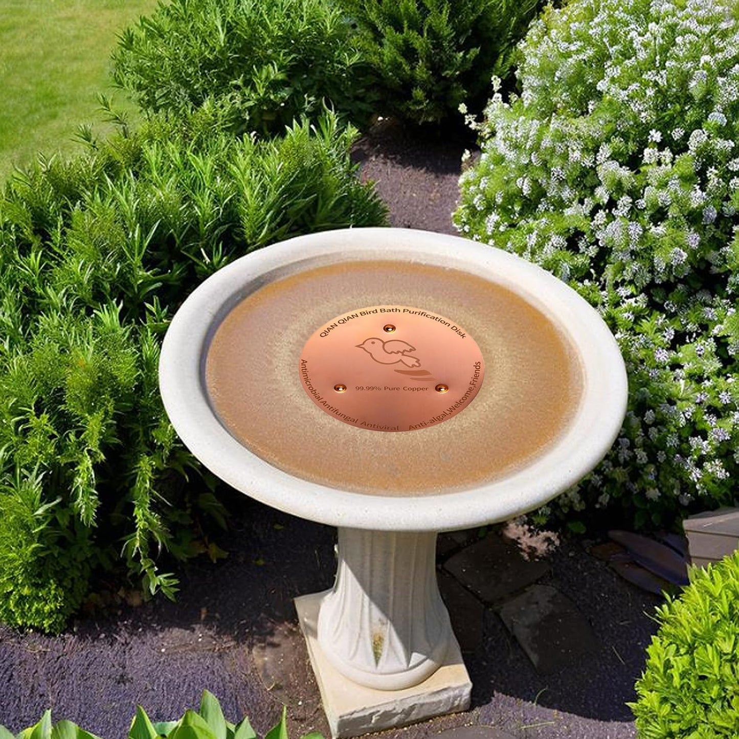 Skiennix Copper Bird Bath Purification Disk - Triple-Point Support for Clean Water | Universal Fit
