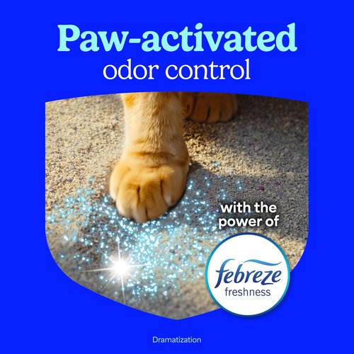 Fresh Step Clumping Cat Litter - Multi-Cat Odor Control with Activated Charcoal, 14 lb