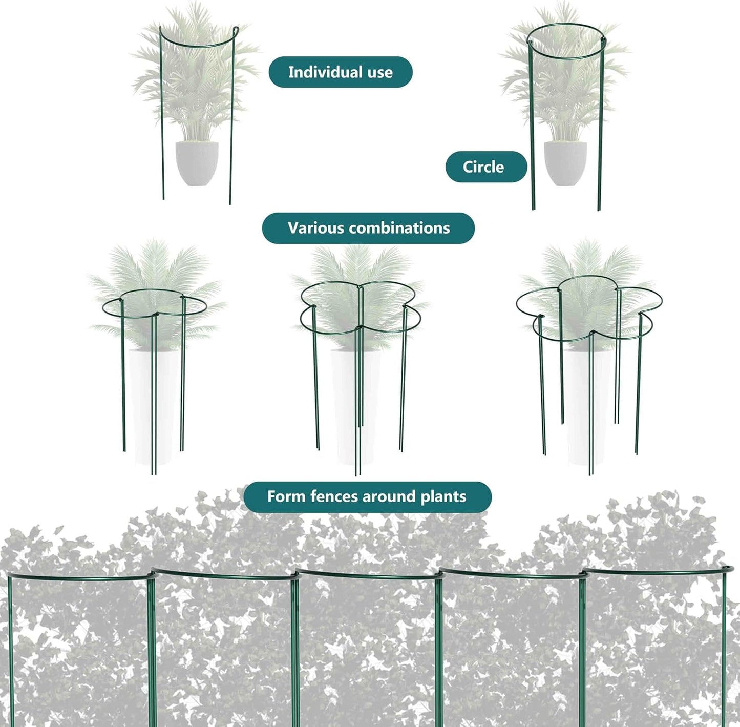 TCBWFY Plant Support Stakes - Heavy Duty 10-Pack Metal Cages for Peony | 10" Wide x 24" High