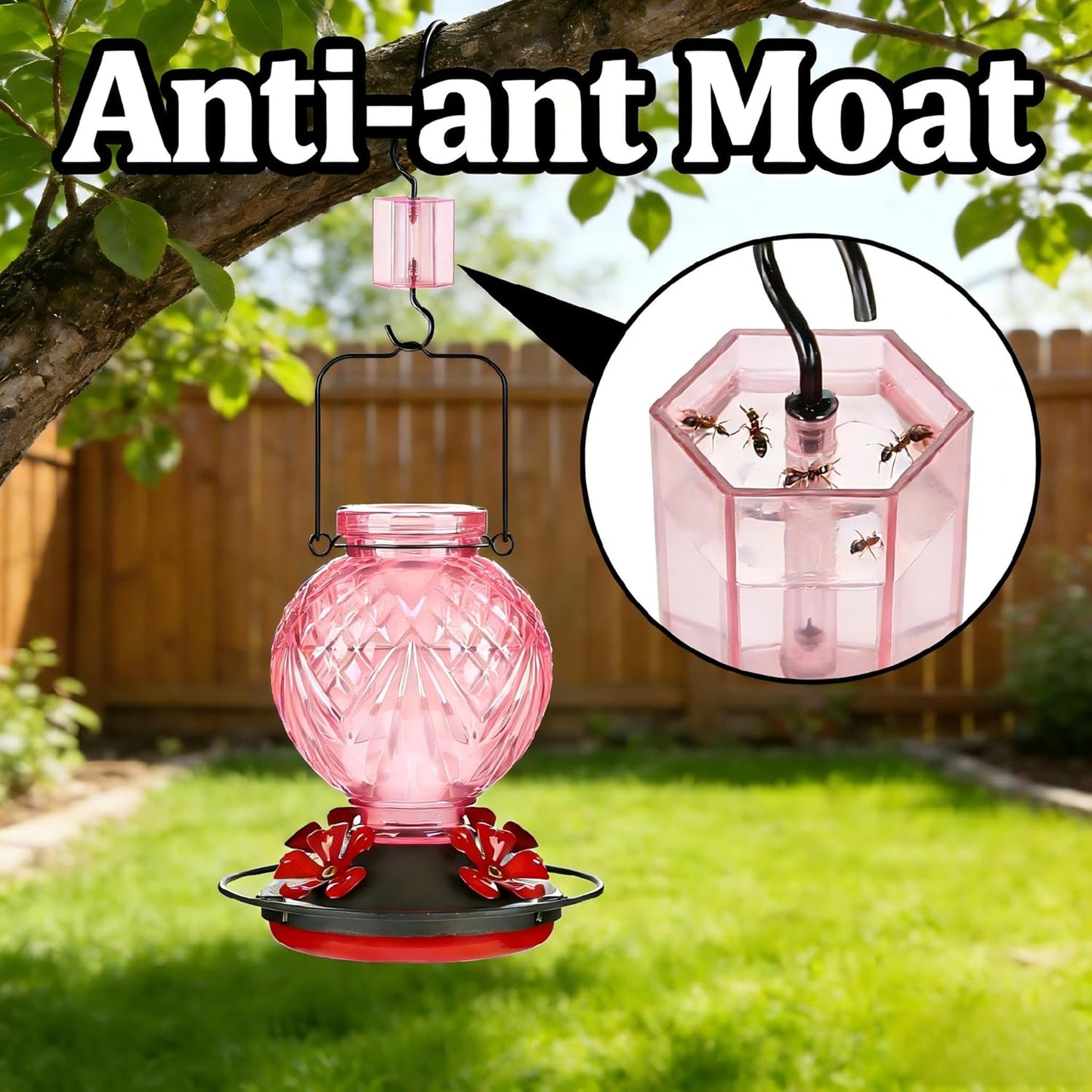 Skiennix Glass Hummingbird Feeder - 20oz Outdoor Nectar Feeder with Bee Guard Ports & Ant Moat | Pink