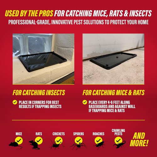Catchmaster Rat, Snake & Mouse Traps - 10 Pack Large Bulk Adhesive Traps for Home Pest Control