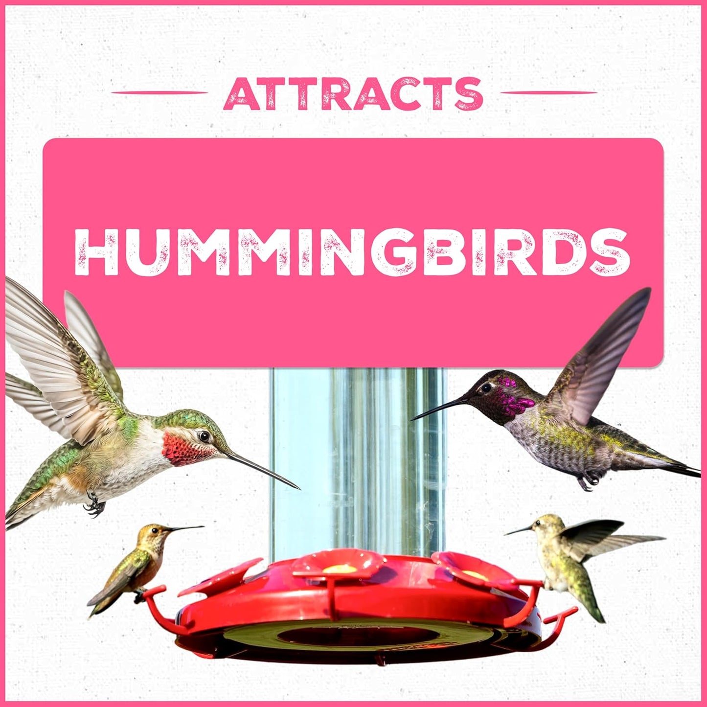 Pennington Hummingbird Nectar - Ready to Use, Naturally Colored with Electrolytes | 64 oz Bottle