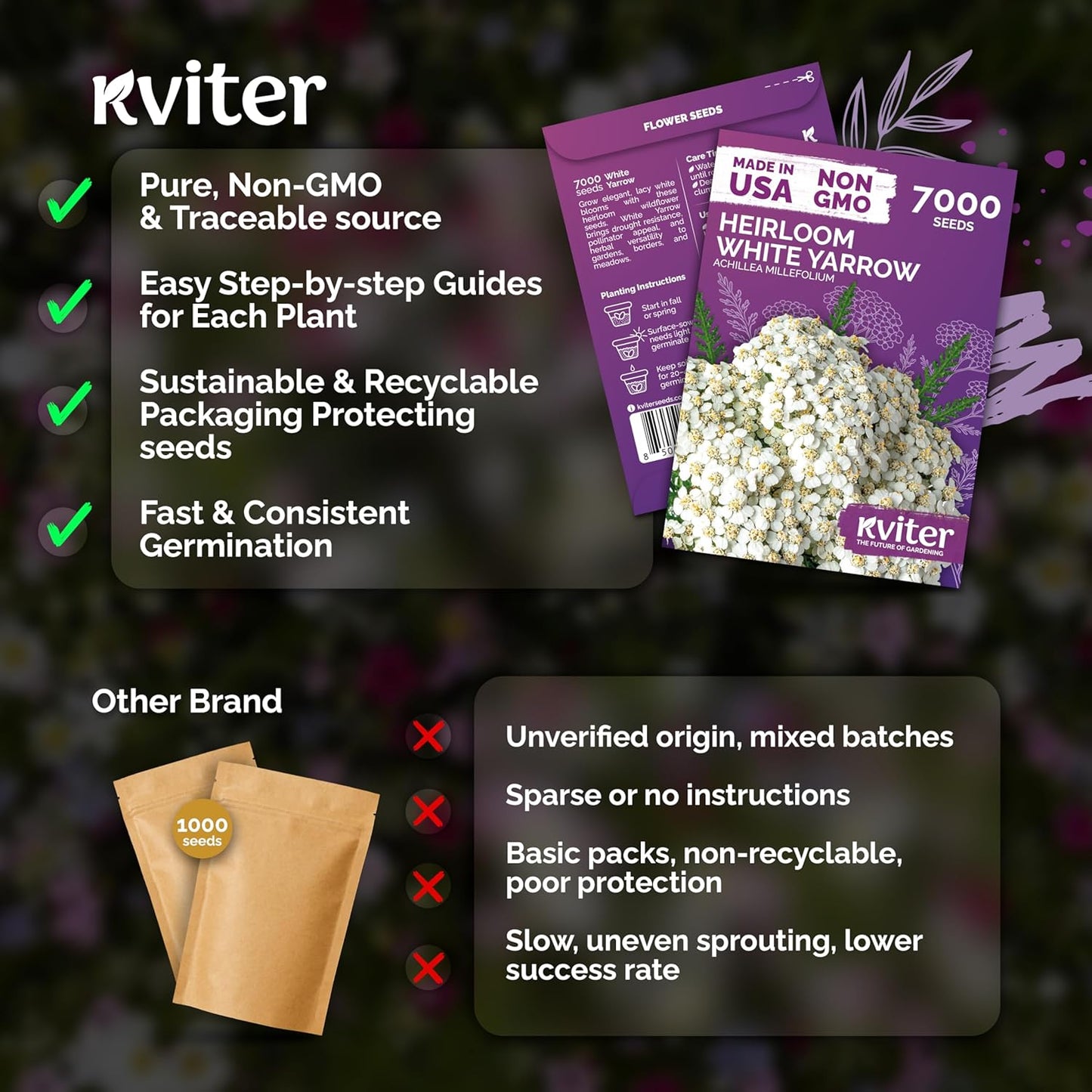 KVITER 7000 White Yarrow Seeds - Organic Heirloom Perennial Flower Seeds for Herb Gardens & Meadows