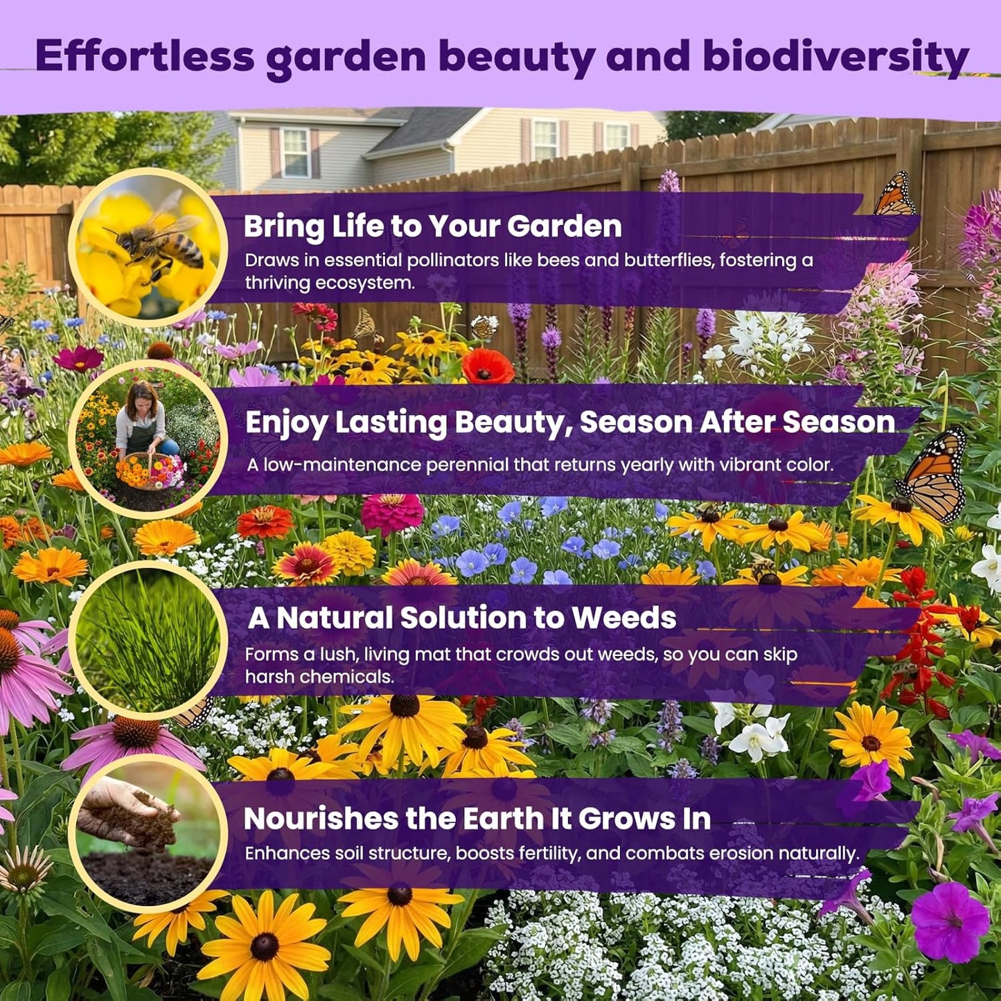 Wildflower Seeds Bulk by [Brand Name] - 200,000+ Non-GMO Heirloom Seeds Mix | 16 Varieties for Pollinator Garden