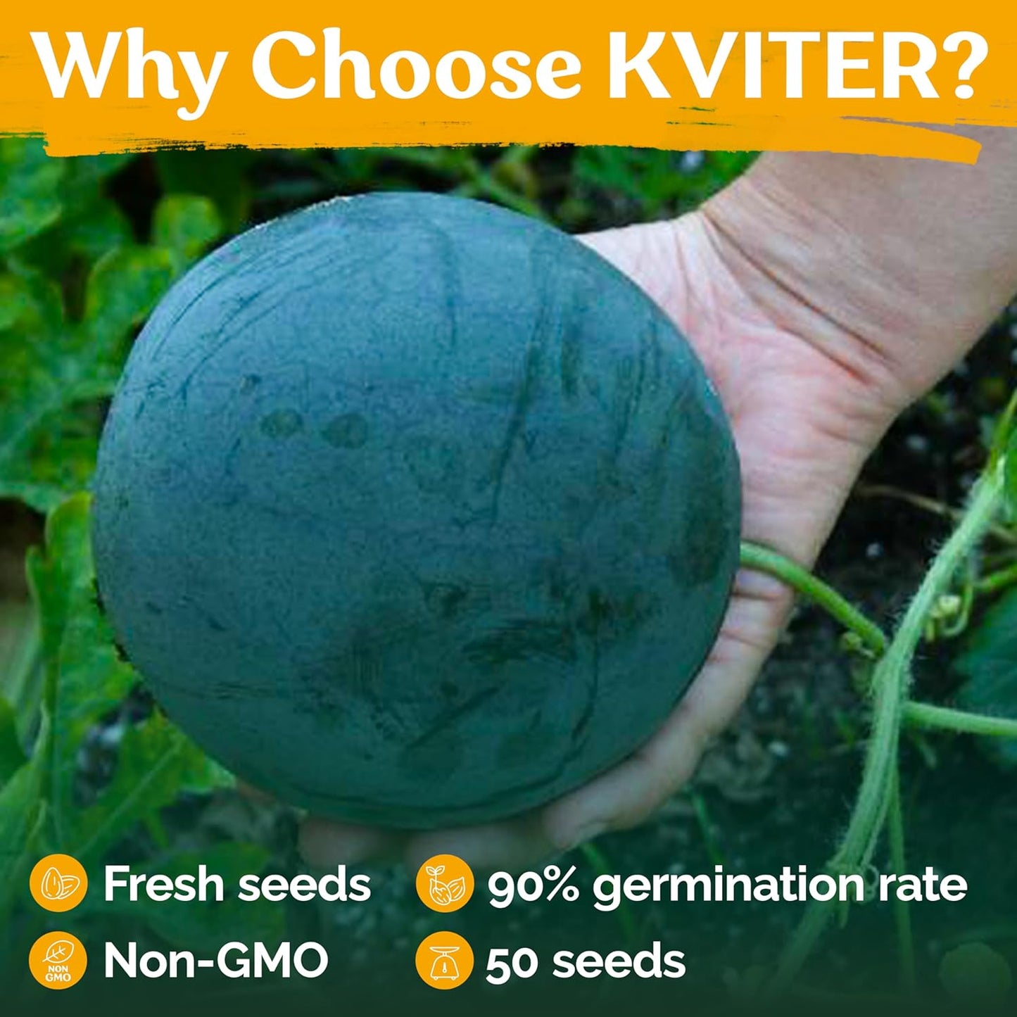 KVITER 50 Watermelon Seeds - Heirloom Organic Mini Melon Seeds for Sweet Outdoor Gardening