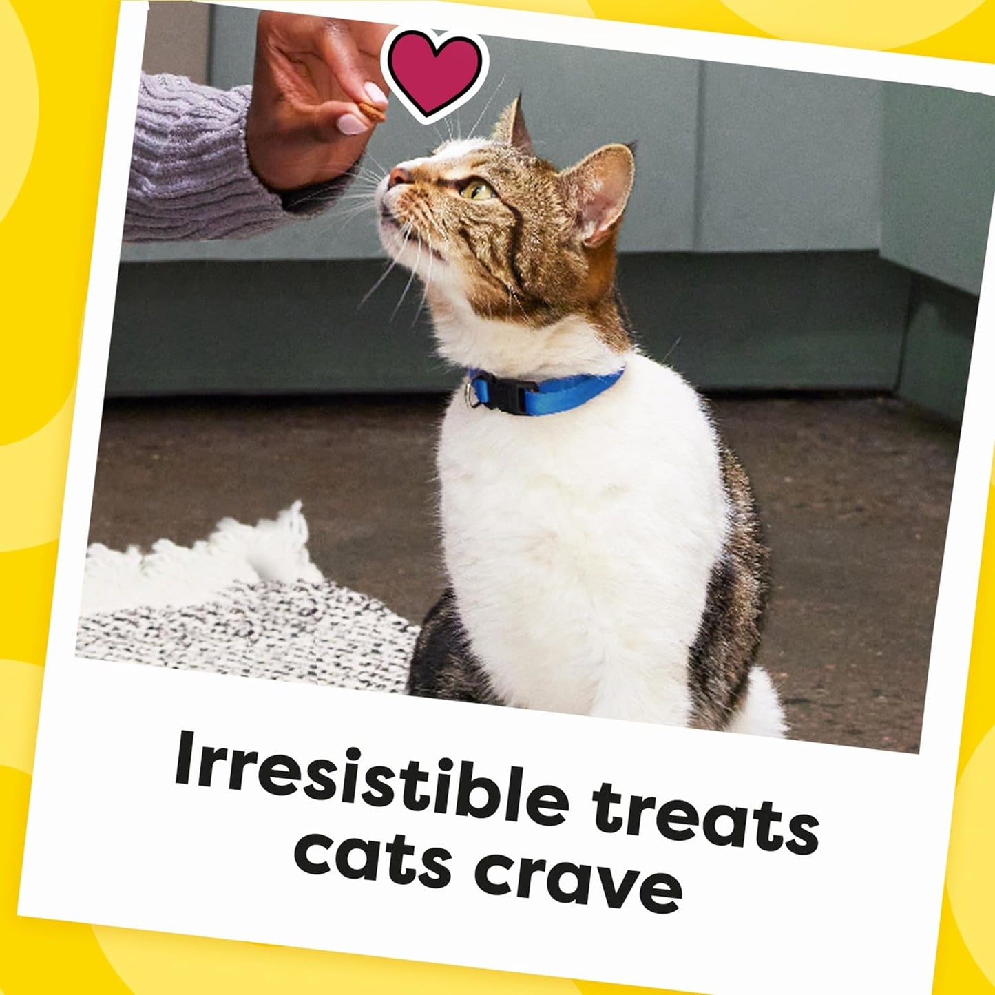 Temptations Cat Treats - Classic Crunchy & Soft Chicken Flavor - 30 oz Tub for Happy Cats