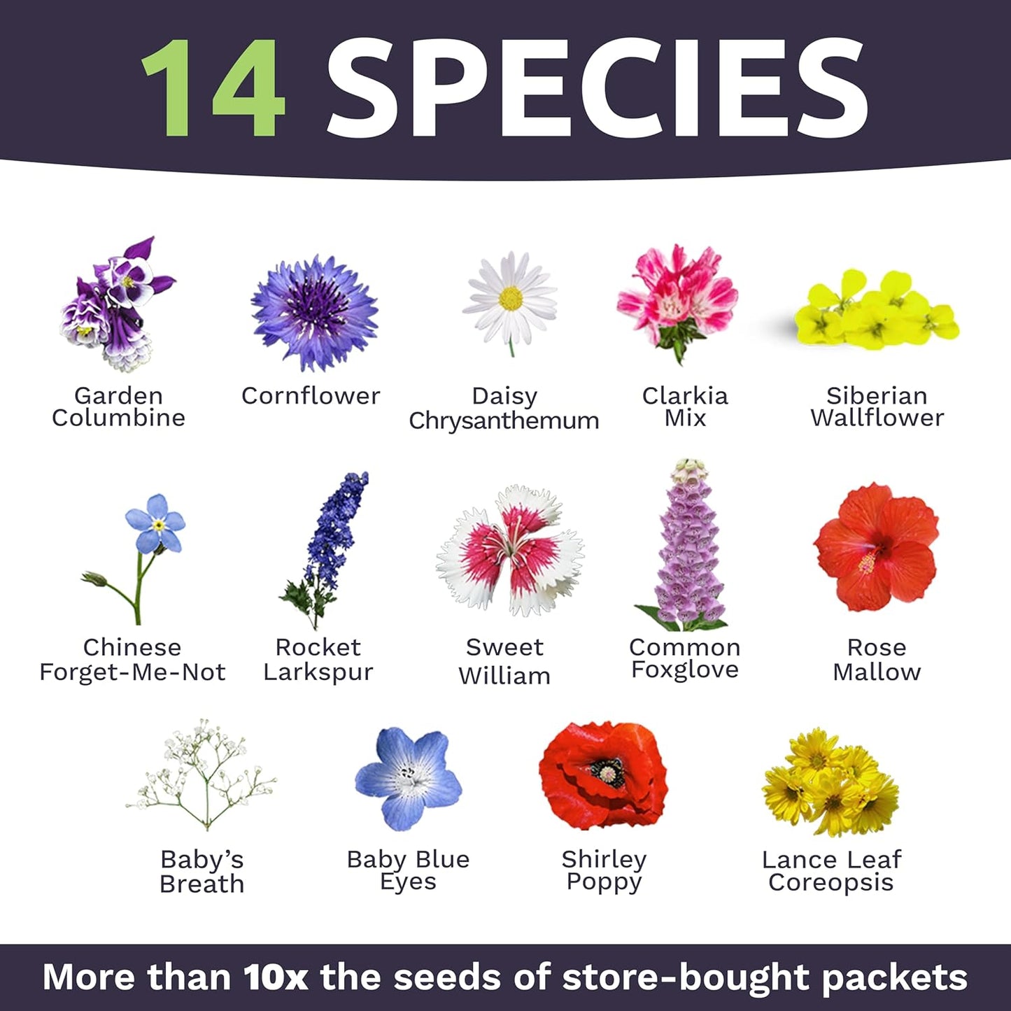 Wildflower Seeds - Partial Shade Mix with 7,000+ Open Pollinated Annual & Perennial Seeds - 1 Ounce