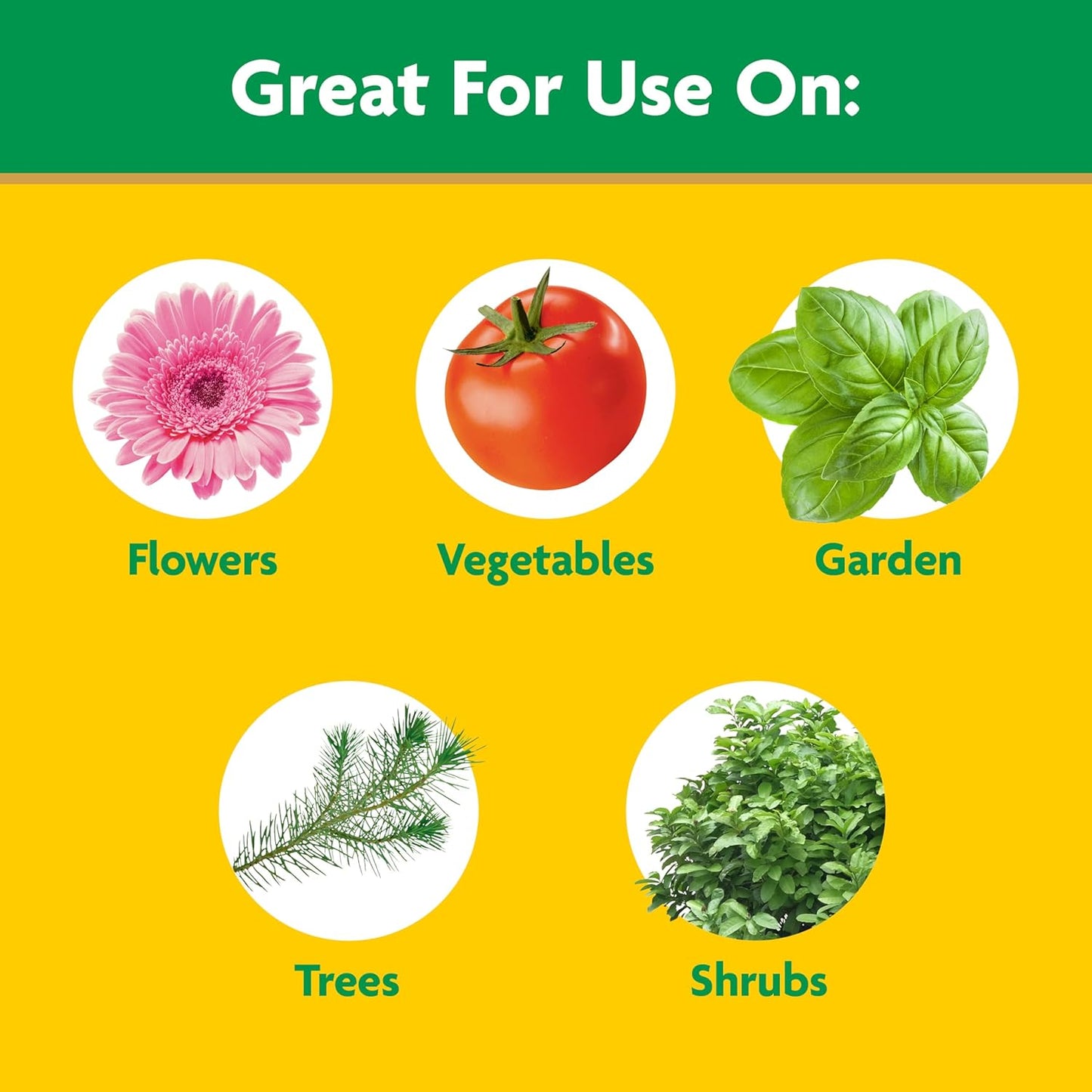 Miracle-Gro All-Purpose Plant Food & Garden Feeder Bundle - Ideal Fertilizer for Flowers, Vegetables, Trees & Shrubs