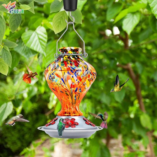 BOLITE Glass Hummingbird Feeder - Hand Blown Twisted Design with Ant Moat & 5 Feeding Ports | 24 Ounces, Orange