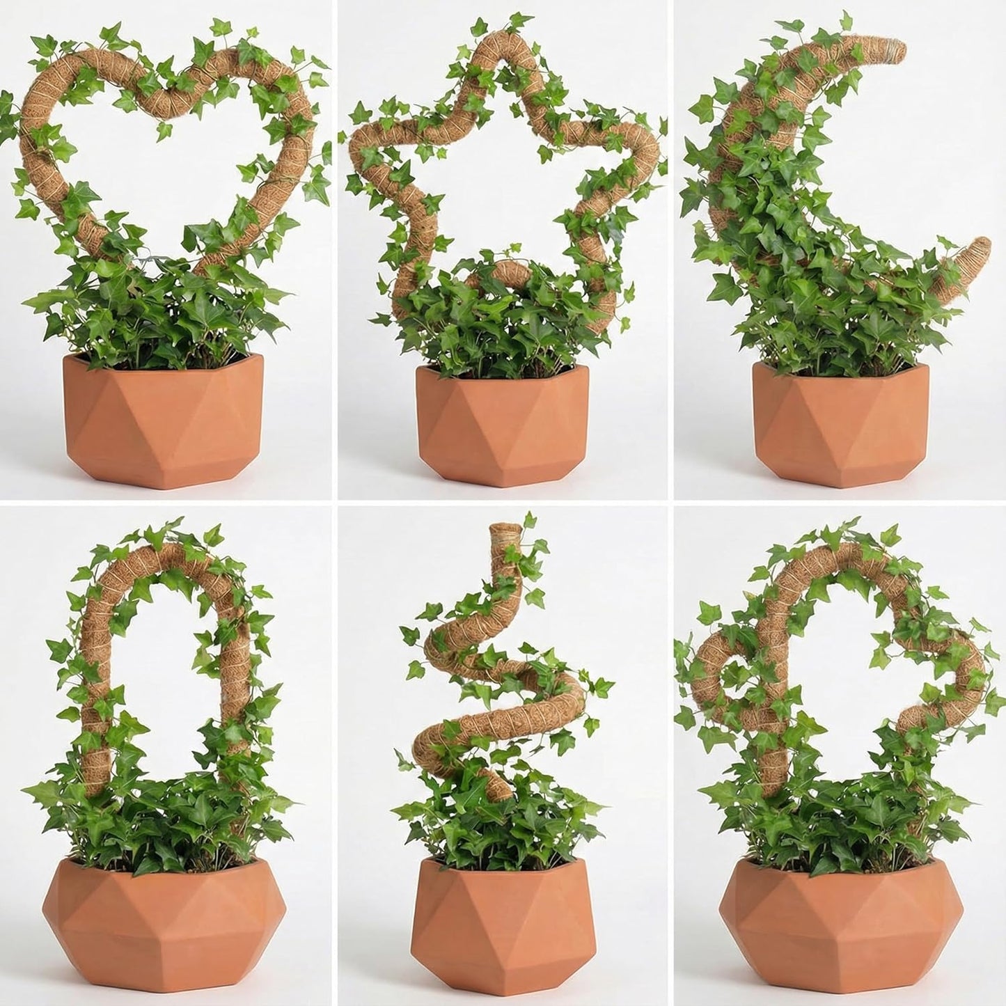 Skiennix Moss Pole Monstera Plant Support - Two 28" Bendable & Two 12" Stackable Coir Poles | Indoor Trellis Accessories