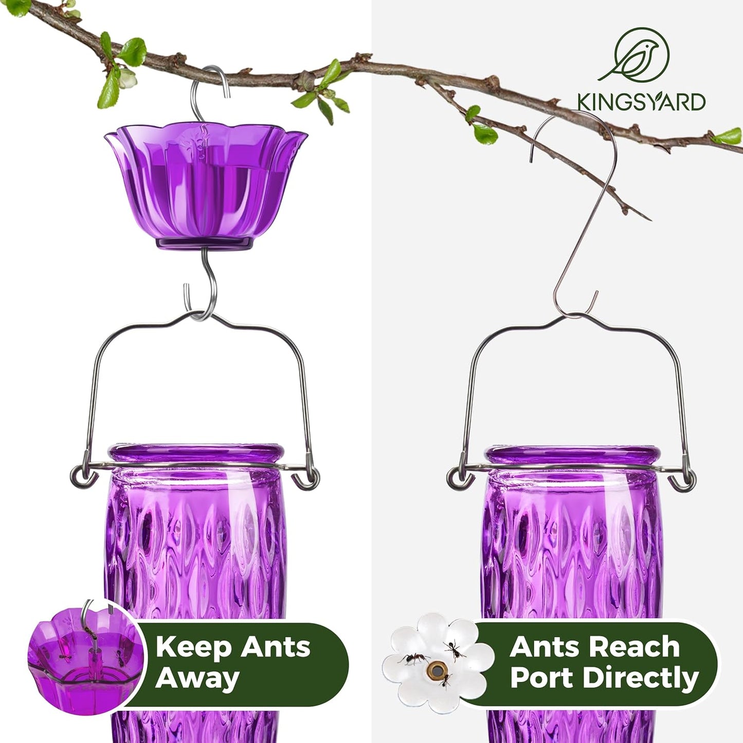 Kingsyard Glass Hummingbird Feeders - 24 oz Leak-Proof Outdoor Nectar Feeders with 6 Ports & Ant Moat - Purple (2 Pack)